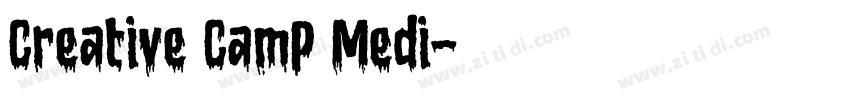 Creative CamP Medi字体转换